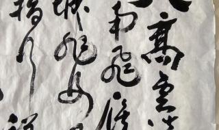 望断南飞雁 望断南飞雁